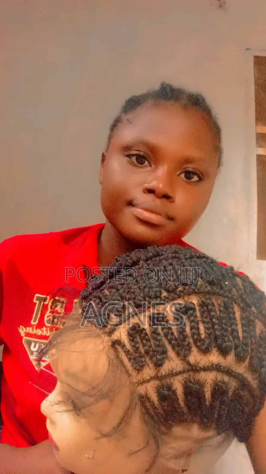 Braided Wig