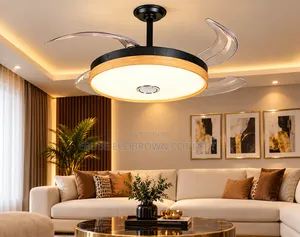 Modern Interior Fan Chandelier Lamp Light for Modern Homes Interior