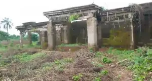 4bdrm Bungalow in Issele Uku, Aniocha North for sale