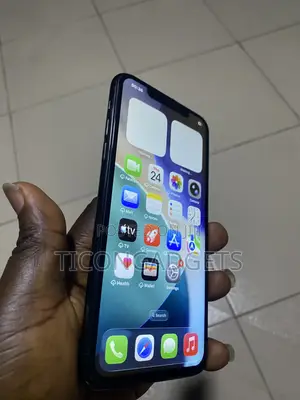 Apple iPhone 11 Pro Max 64 GB Gray