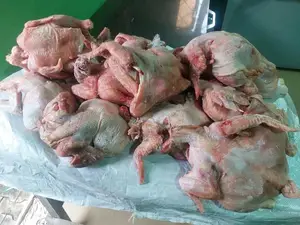 Fresh Chicken