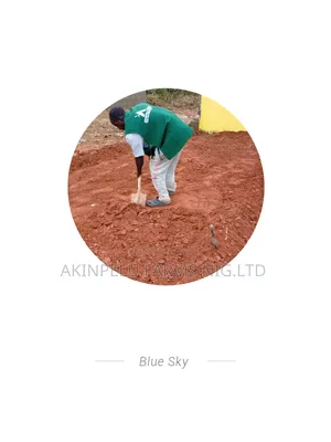 Landscaping Services