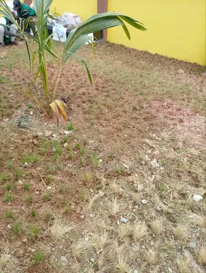 Landscaping Services