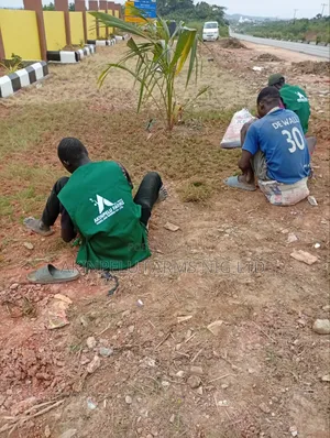 Landscaping Services