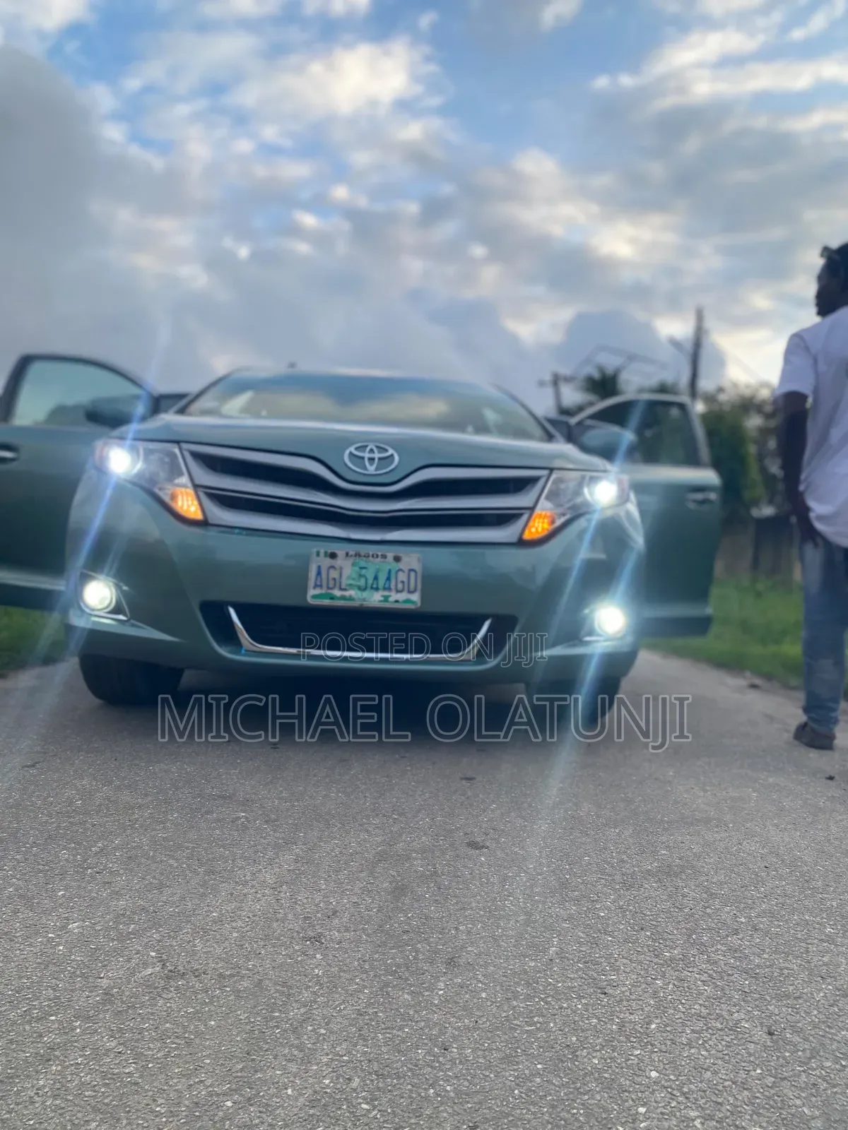 Toyota Venza 2010 Green