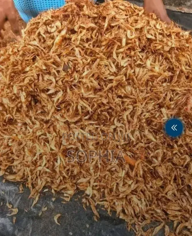 Clean Oron Crayfish