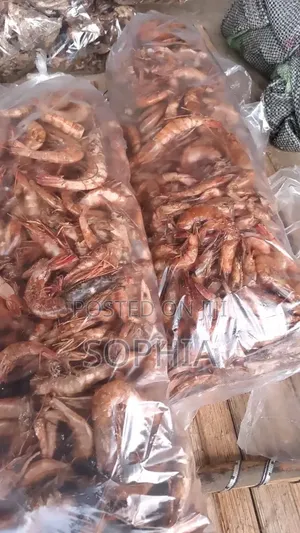 Clean Oron Crayfish