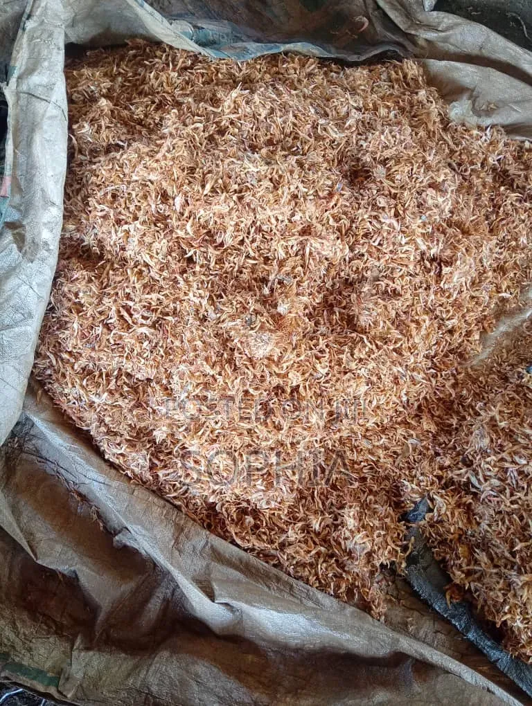 Clean Oron Crayfish