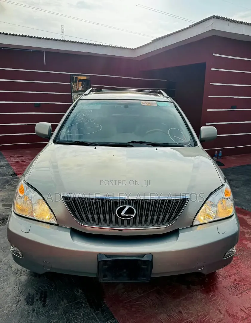 Lexus RX 2007 Gray