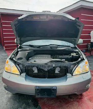 Lexus RX 2007 Gray