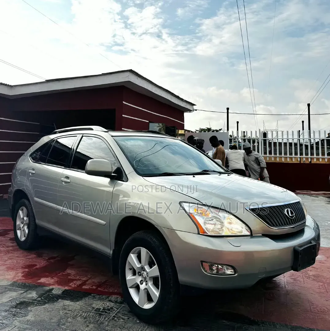 Lexus RX 2007 Gray