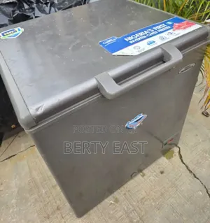 219l Thermocool Inverter Freezer