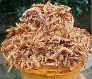 Dried Crayfish 8_9 Painter