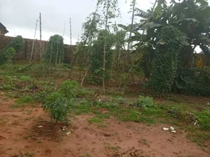 100ft by 50ft Fenced Round at Agbor Road Bypass Iguomon for Sale