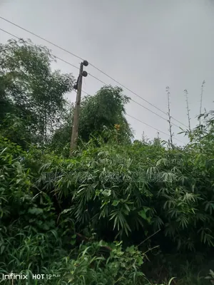 Plots and Acres of Farm Land at Mawuko and Odeda, Ogun State