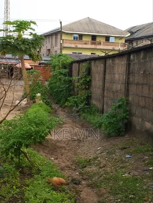 Empty Land With a Very High Fence