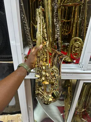 Alto Saxophone