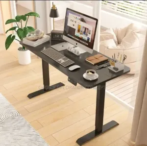 Electric Adjustable Standing Desk