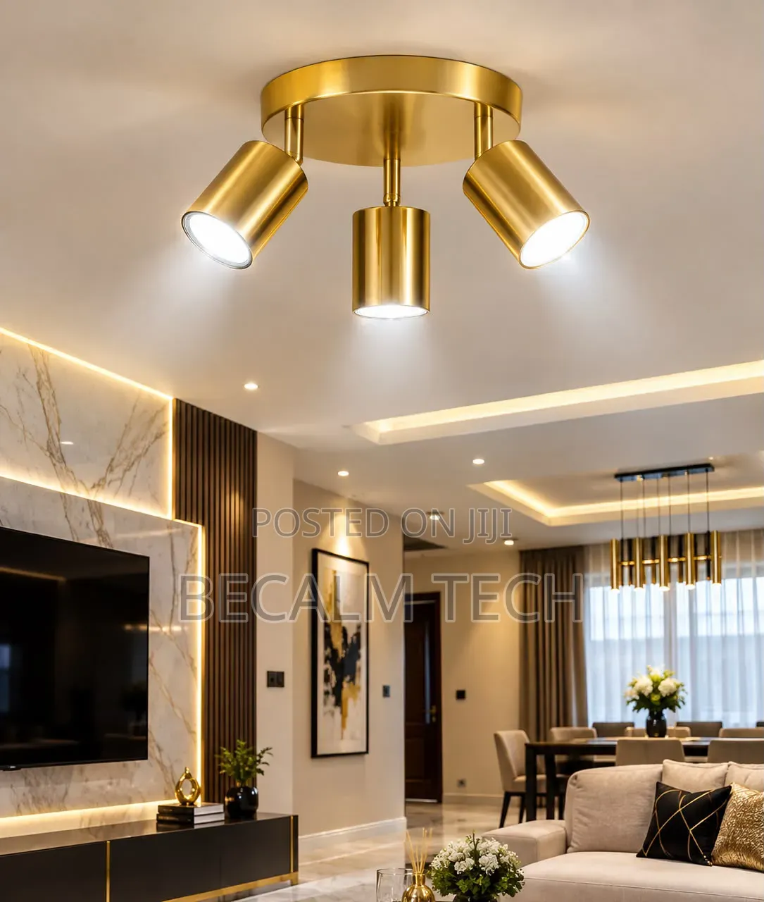 Ceiling Light