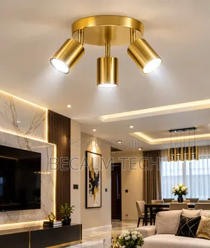 Ceiling Light