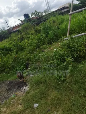 A Plot of Land at Elerangbe Ibeju Lekki