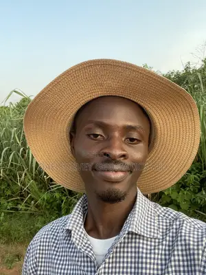 Reliable Land Surveyor