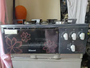 Gas Cooker and Oven