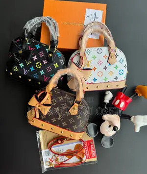 Luxury Louis Vuitton Bag