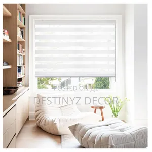 Influential Window Blinds