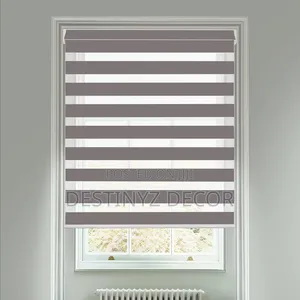 Influential Window Blinds