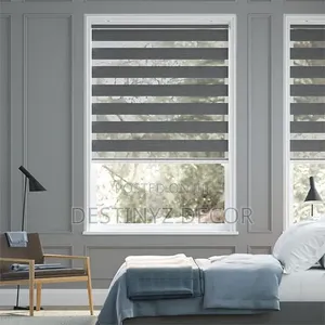 Influential Window Blinds