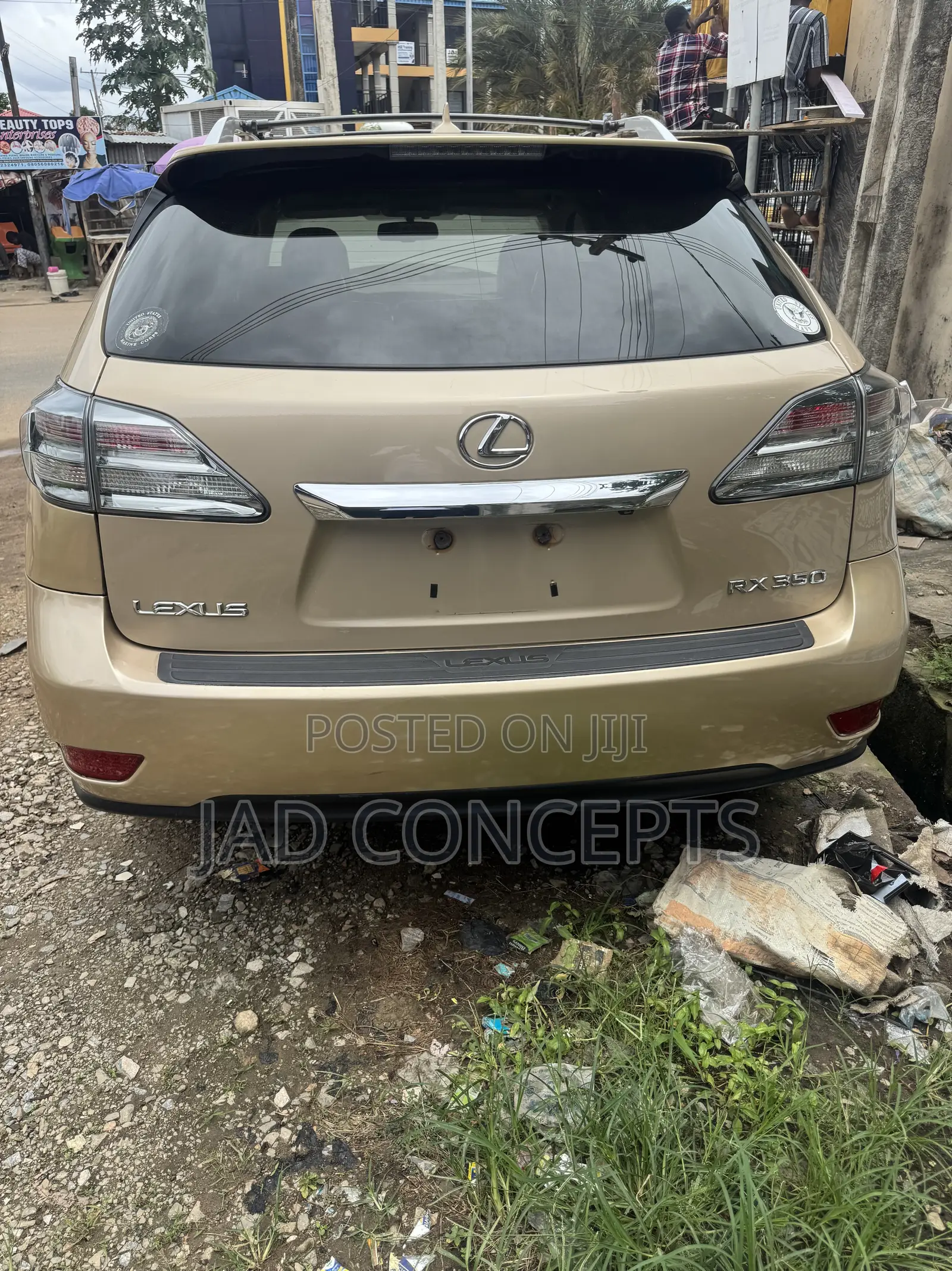 Lexus RX 2010 Gold