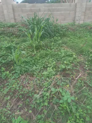 1,320 Square Meters Land at Kaura for Sale