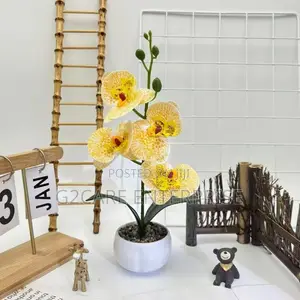 Home Decor