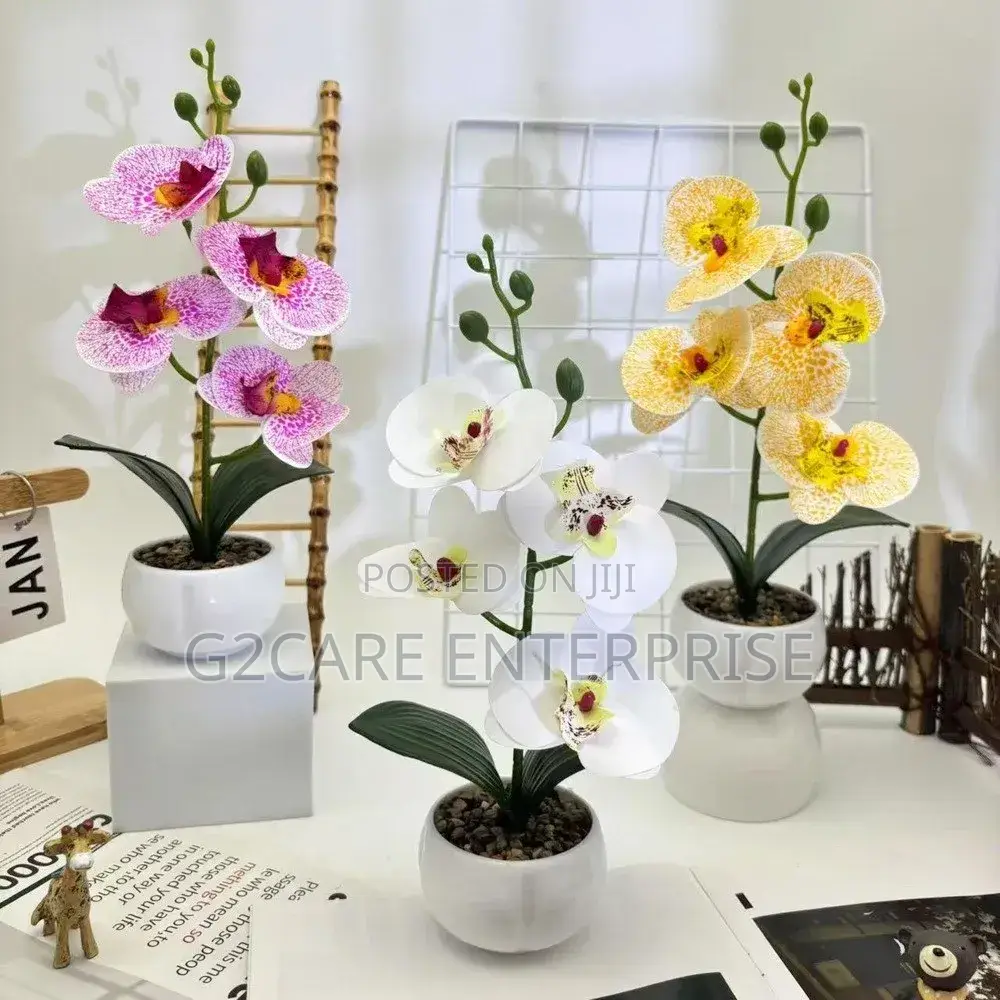 Home Decor