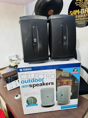 This Is a Pair of Yamaha NS-AW350W All-Weather Outdoor Speakers.