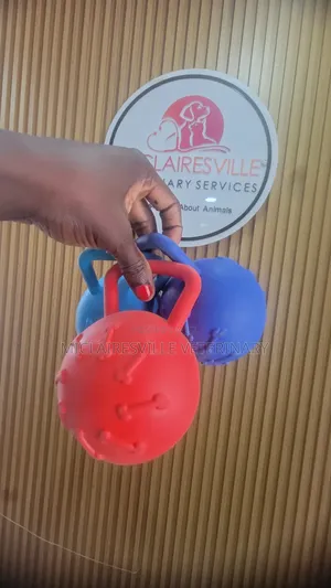 Pet Toys and Accessories