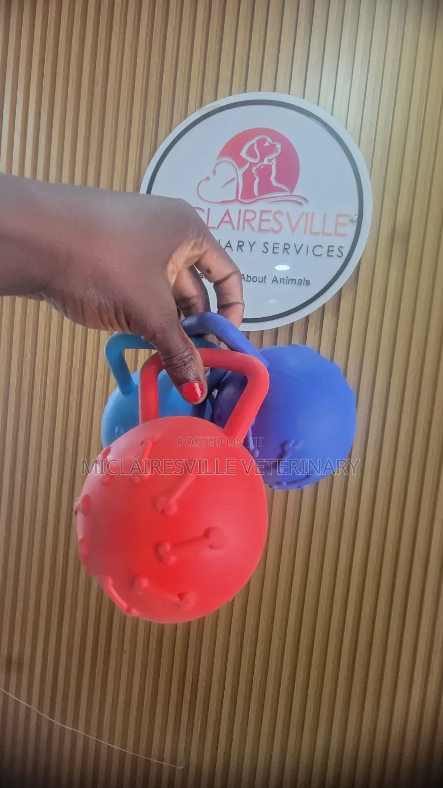 Pet Toys and Accessories