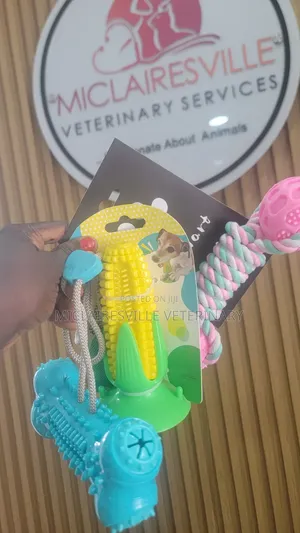 Pet Toys and Accessories