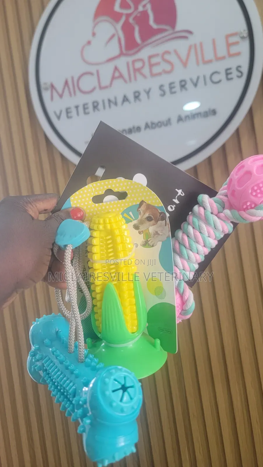 Pet Toys and Accessories