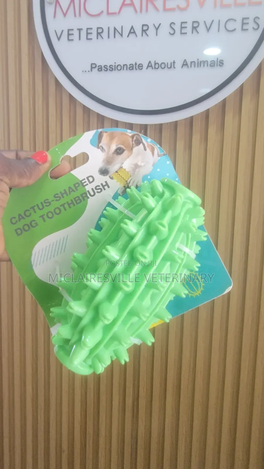 Pet Toys and Accessories