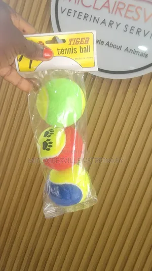 Pet Toys and Accessories