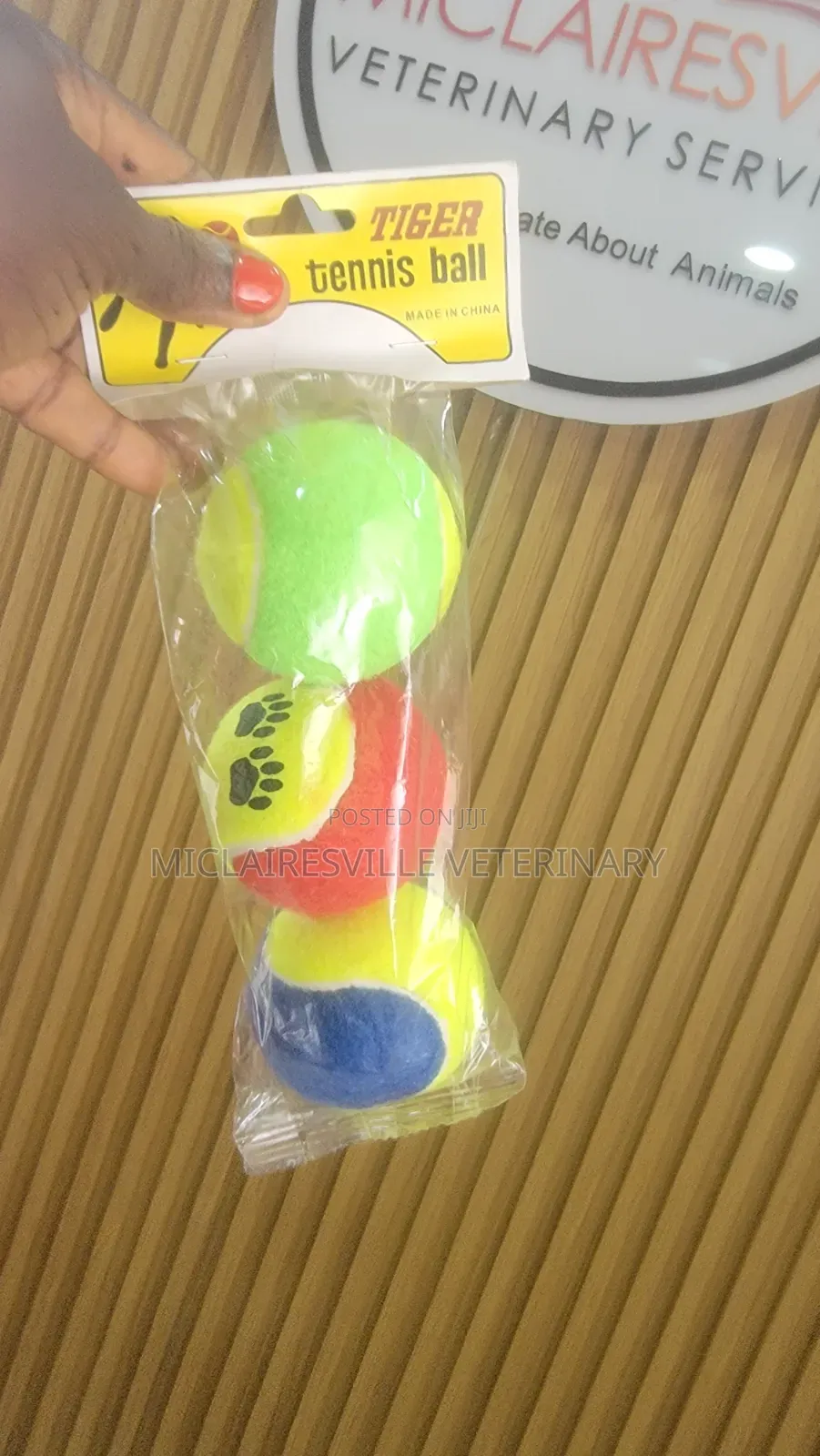 Pet Toys and Accessories
