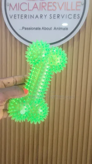 Pet Toys and Accessories