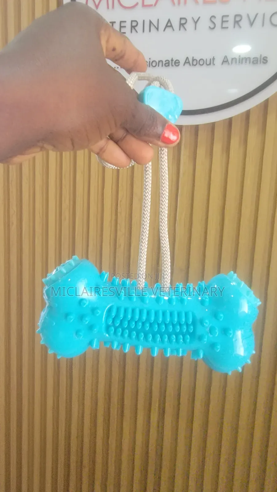 Pet Toys and Accessories