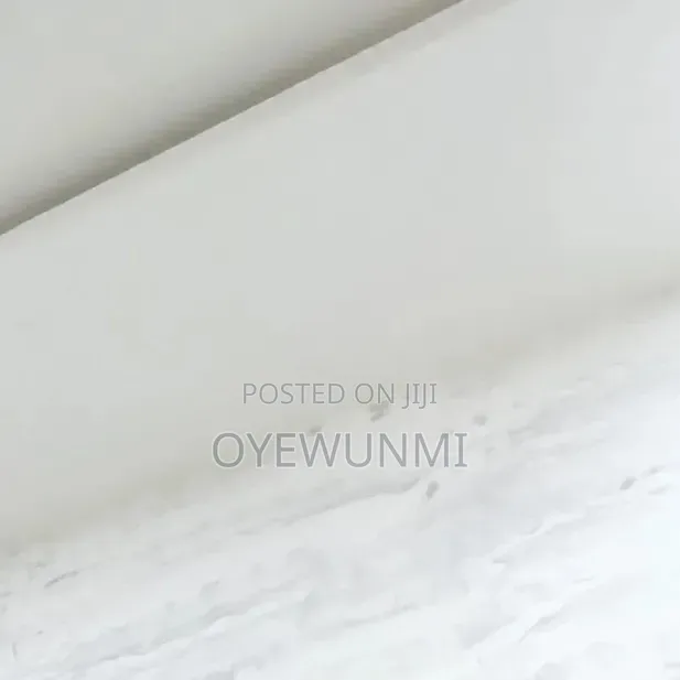 Cleaning Service