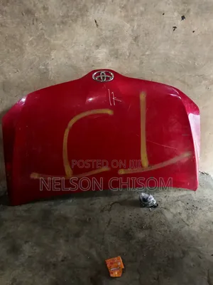 Bonnet Venza 2012
