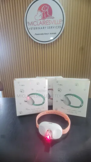 Pet Laser Collar Self Teasing Toy