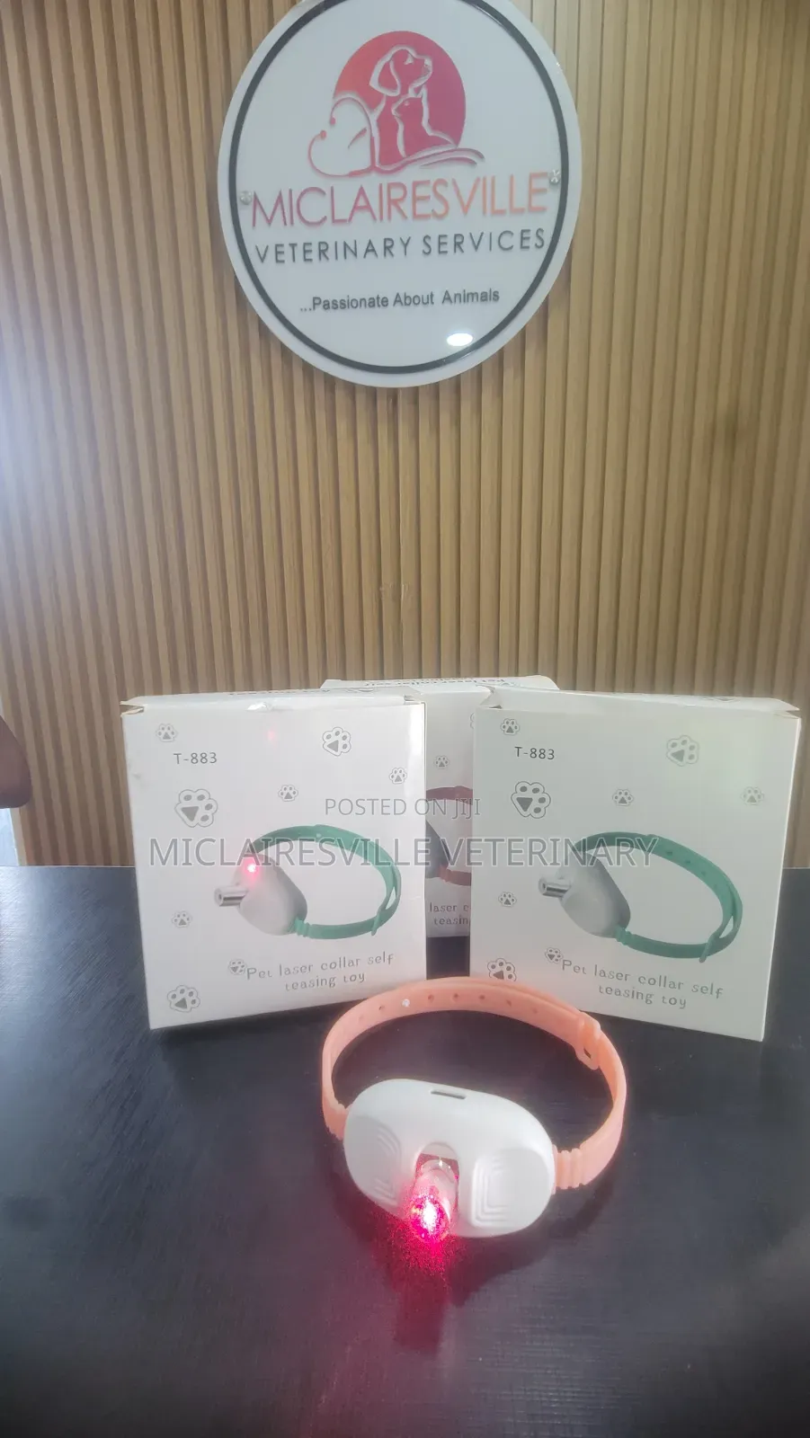 Pet Laser Collar Self Teasing Toy