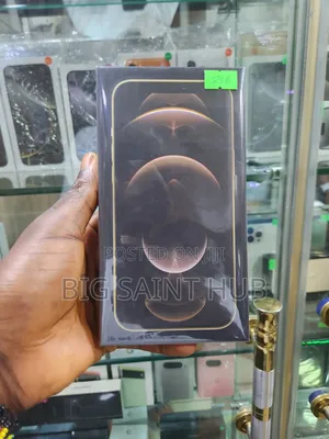 New Apple iPhone 12 Pro Max 256 GB Gold